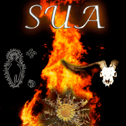 sua-2015